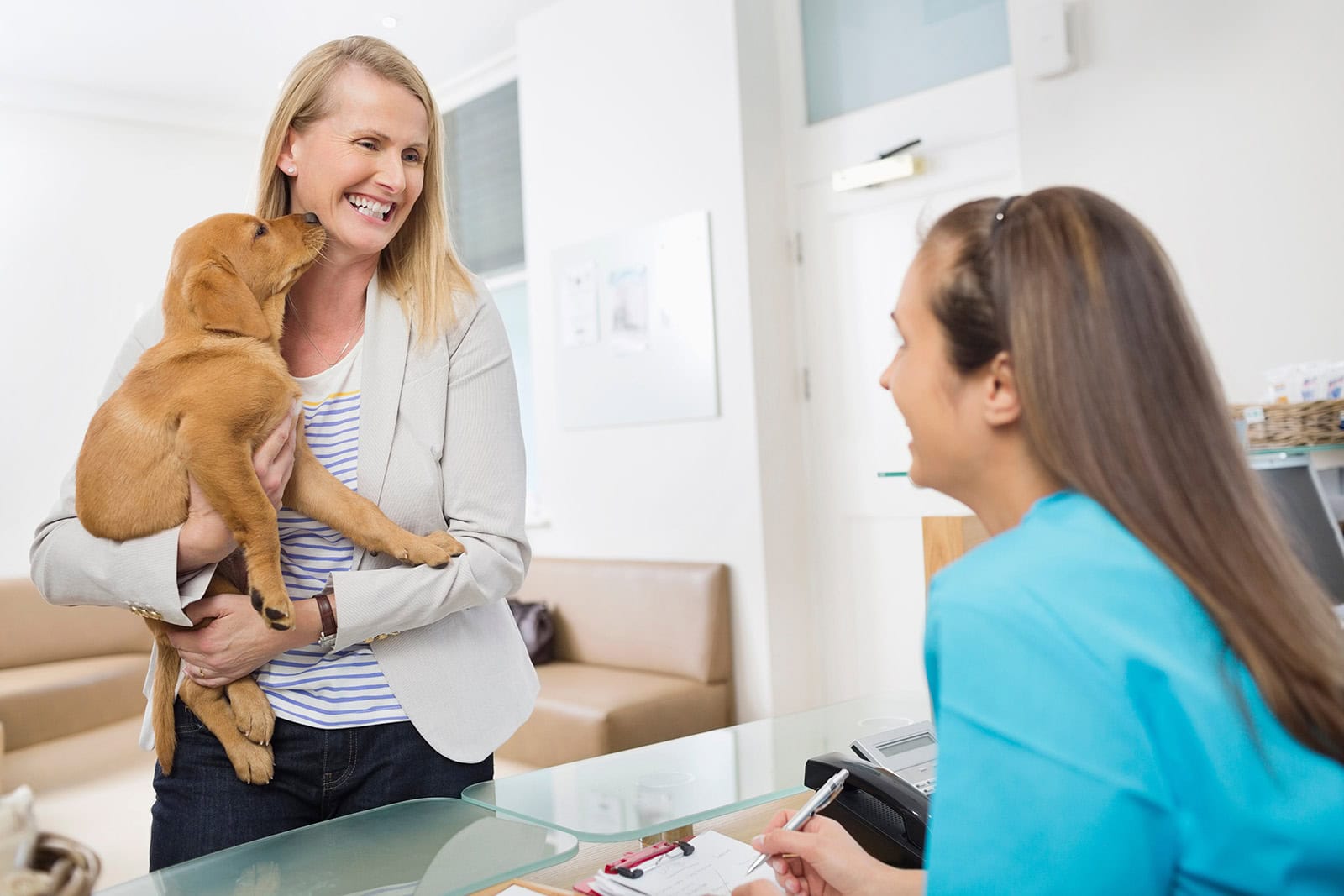 A vet receptionist welcomes a client with a puppy to a busy vet practice