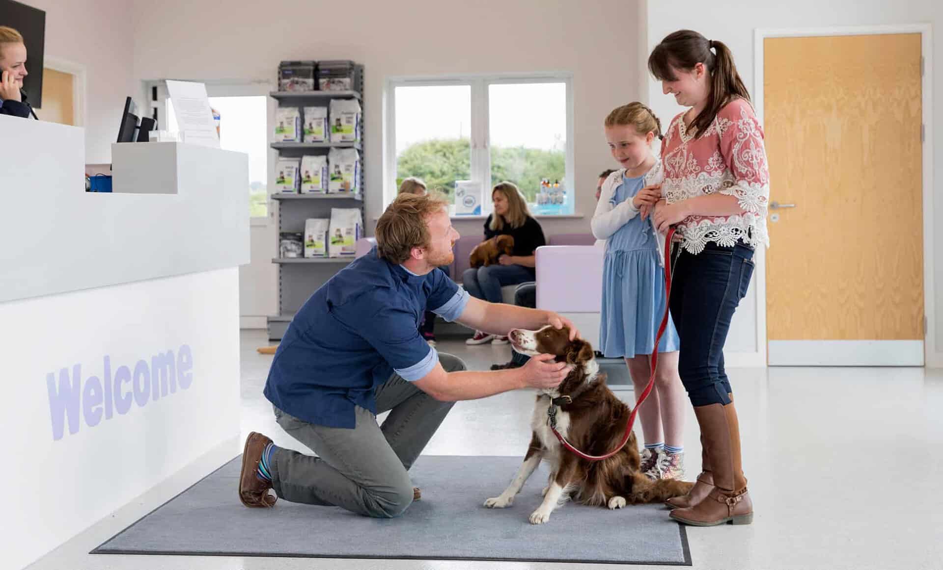 a young vet welcomes a family with their pet into the practice